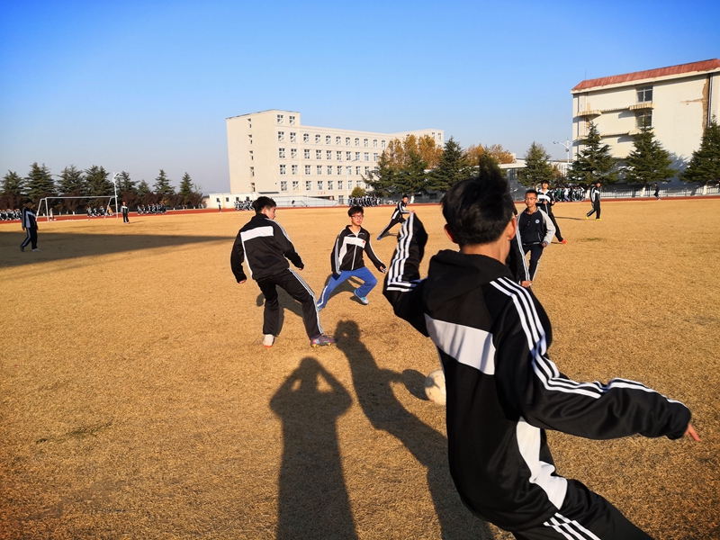 IMG_20201109_150402.jpg