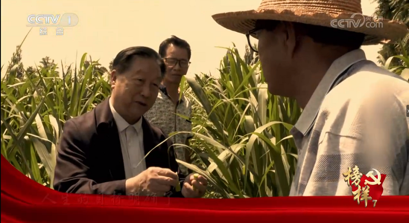 优秀共产党员1.png